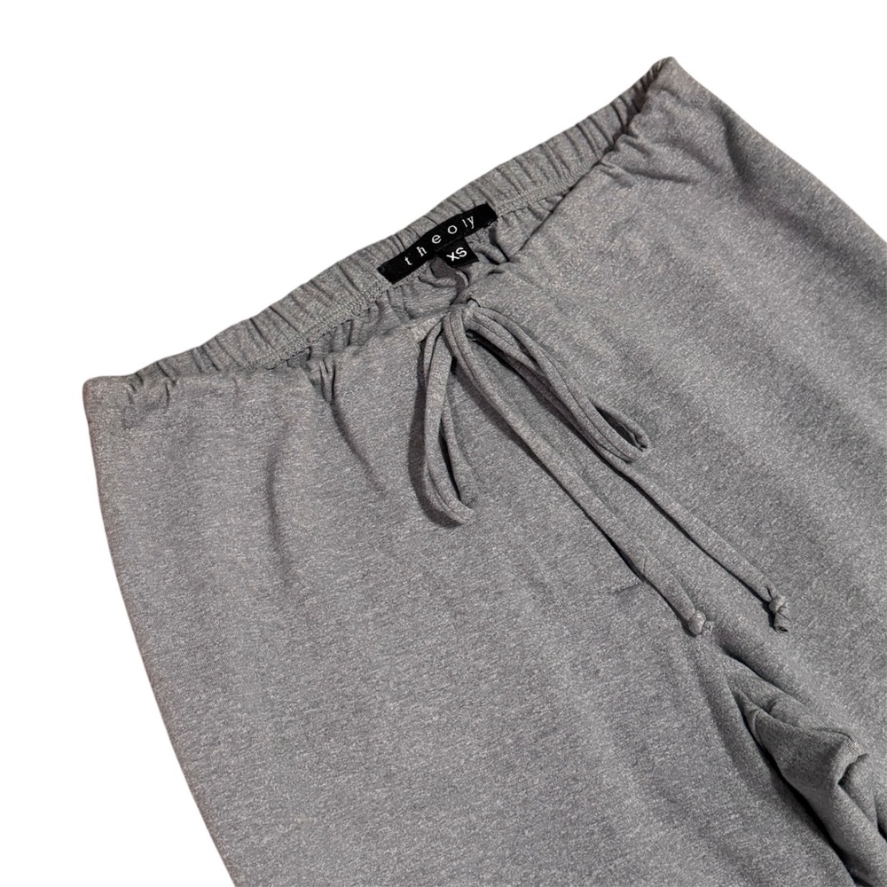 Theory Sweatpants Drawstring and Zipper Button Closure Soft Heather Gray Size XS - Picture 5 of 11